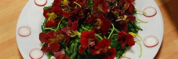 Çiçekli Radika Salatası Thumbnail